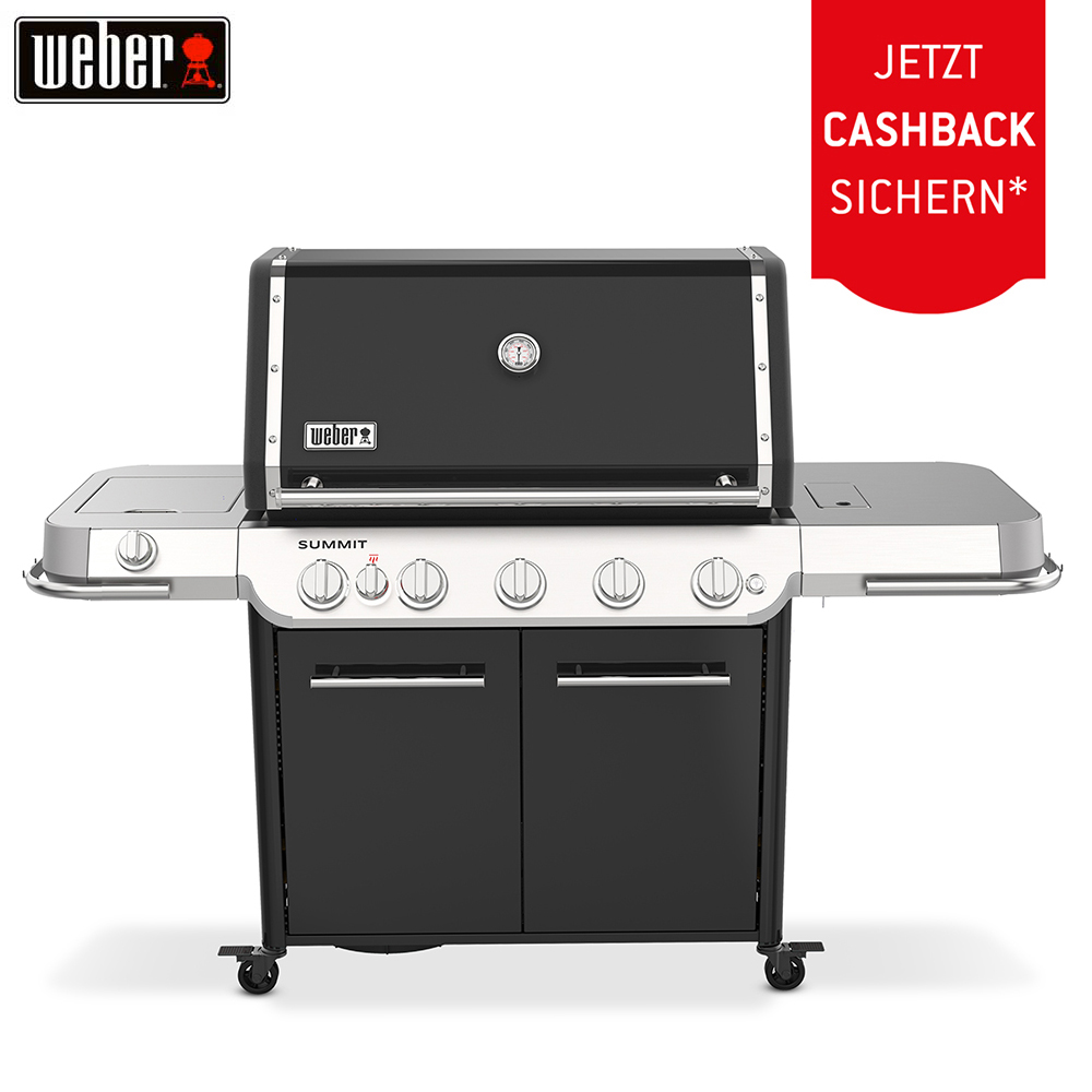 Weber Summit FS38 E Gasgrill (1500509) + 150.– Cashback