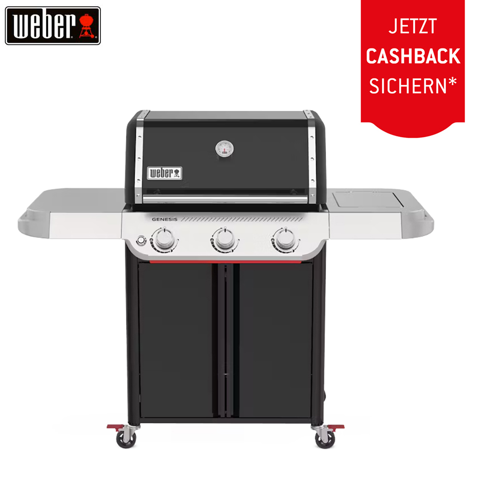 Weber Genesis E-315W Gasgrill (1501173) + 100.– Cashback